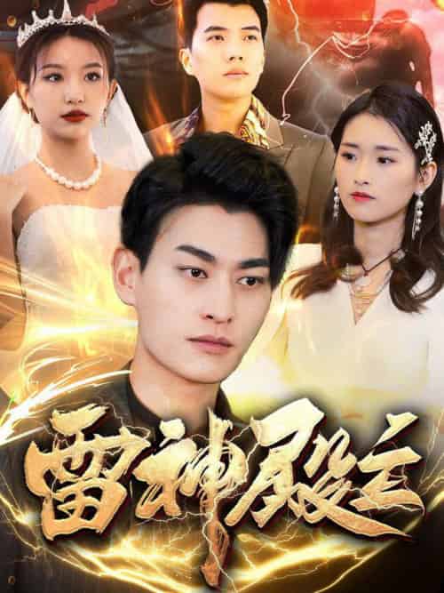 雷神殿主（95集全）魏琳儒＆邹子欣-搜外项目网