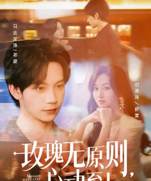 玫瑰无原则心动至上（78集）马法洋＆范祺-搜外项目网