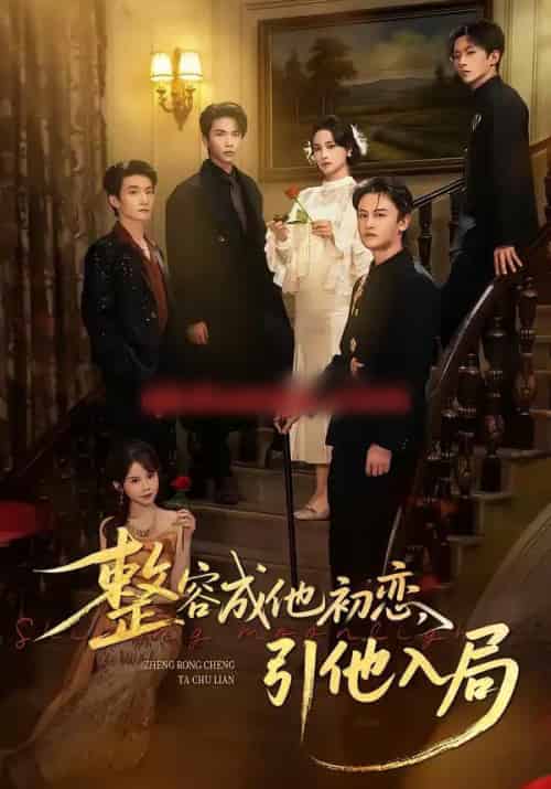 整容成他初恋，引他入局（65集全）彭慧玲＆李昊成-搜外项目网