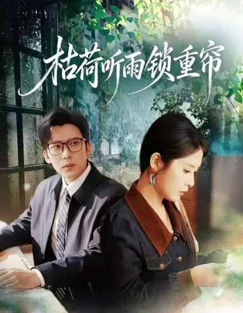 枯荷听雨锁重帘(72集全)冯思源&陈酉昔-搜外项目网