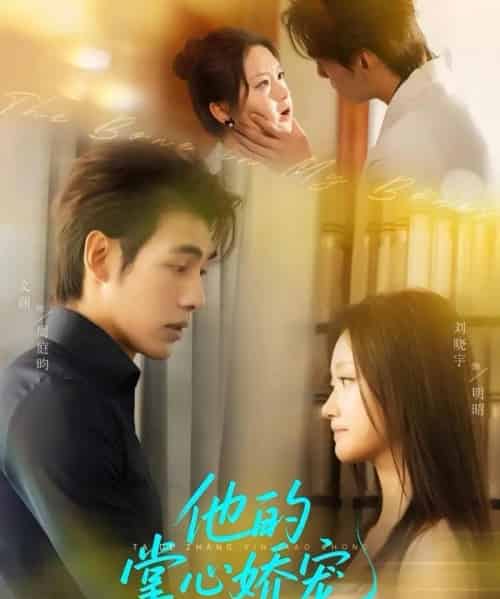 他的掌心娇宠(60集)文渊&刘晓宇-搜外项目网