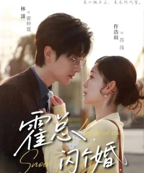 霍总，闪个婚（86集全）仵浩瑄＆林潇-搜外项目网