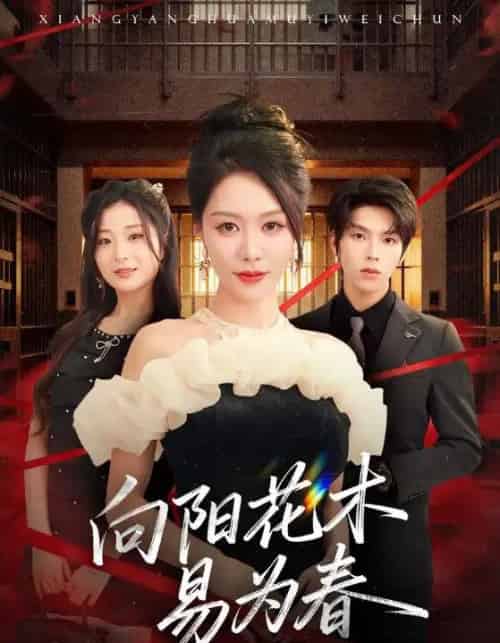 新:向阳花木易为春(72集全)钟莹玲&向帅-搜外项目网