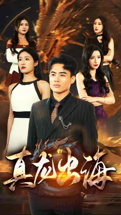 真龙出海（80集）宋楠-搜外项目网