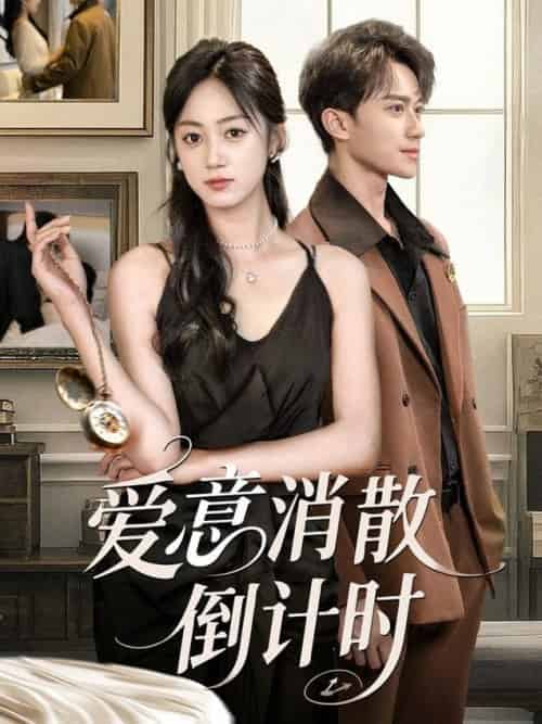爱意消散倒计时（35集全）李永臻＆薛琪慧-搜外项目网