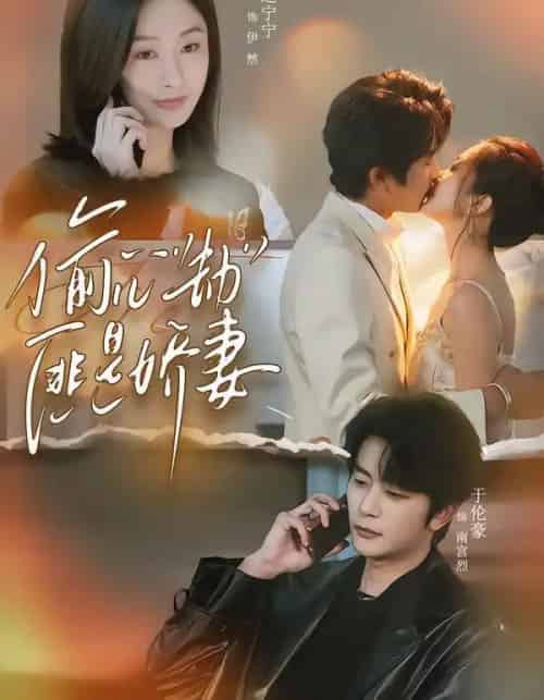 偷心劫匪是娇妻＆偷“心”劫匪是娇妻（61集全）于伦豪＆迟宁宁-搜外项目网