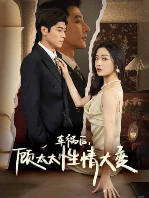 车祸后顾太太性情大变(65集全)于叔&白野-搜外项目网