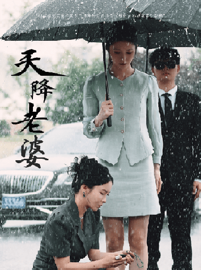 天降老婆（81集全）李若希-搜外项目网