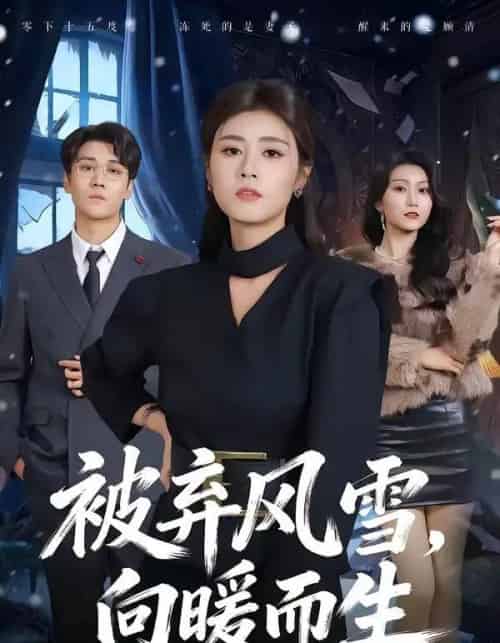 被弃风雪，向暖而生（60集全）郭嘉铭＆邹洁仪-搜外项目网