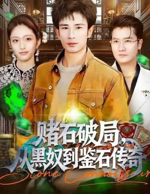 赌石破局，从黑奴到鉴石传奇（64集全）黄斯琪＆何俊雄-搜外项目网