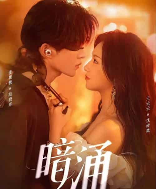 暗涌(97集全)张集骏&王云云-搜外项目网