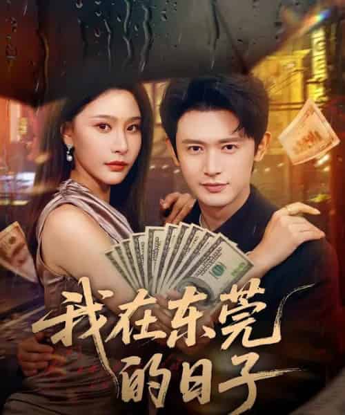 我在东莞的日子（88集全）许子吟＆王昭-搜外项目网