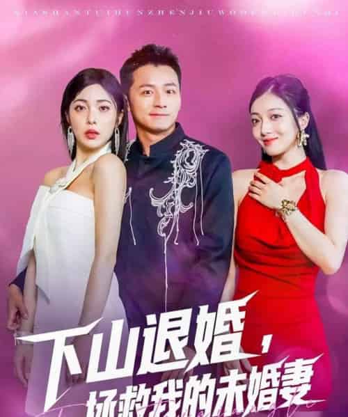 下山退婚拯救我的未婚妻(80集)何其炜&阳蕃-搜外项目网