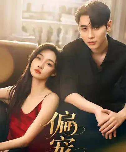 偏宠(54集全)李璟沣&李羽桐-搜外项目网