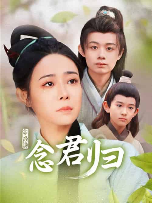 念君归（77集全）千婵-搜外项目网