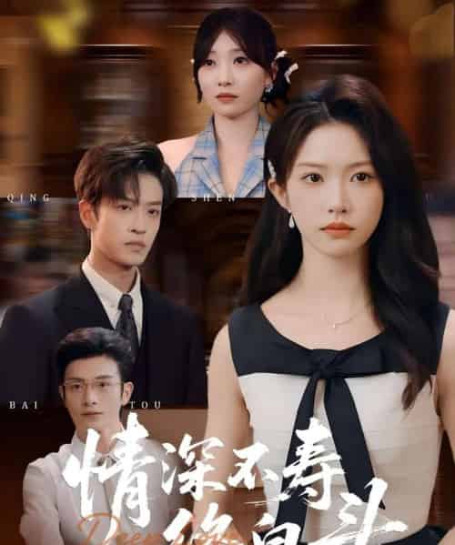 情深不寿终白头（90集全）吴毅非＆孙梓铖-搜外项目网