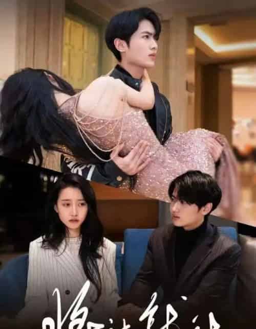 将计就计（78集全）孙嘉俊＆金凌子-搜外项目网