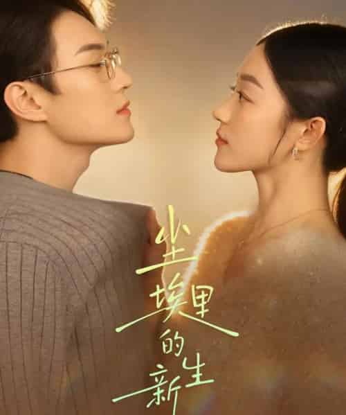 尘埃里的新生（60集全）李明轩＆陈小瑜-搜外项目网