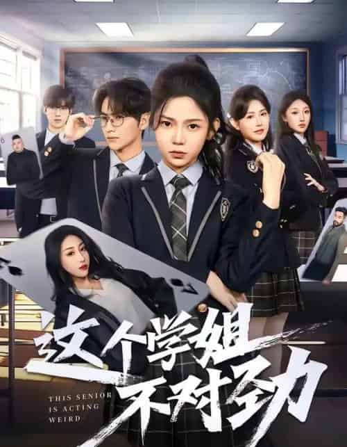 这个学姐不对劲（60集全）杨佳蕾＆袁柳哲-搜外项目网