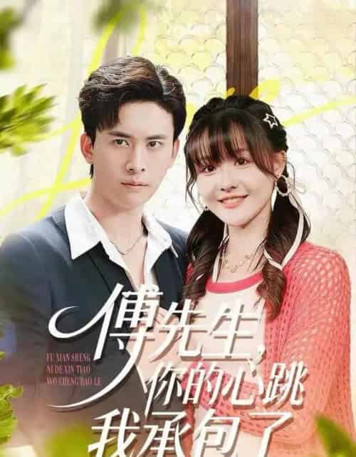 傅先生，你的心跳我承包了（100集全）杨晨（女）＆刘渝展-搜外项目网