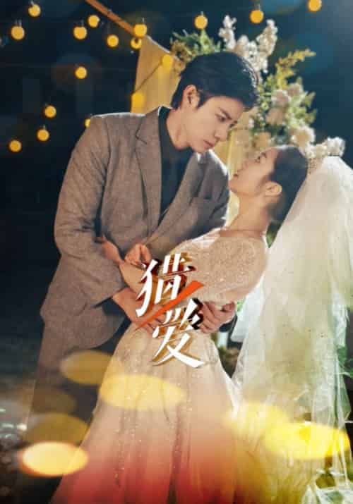 猎ai（54集全）马小宇＆白雪茹-搜外项目网