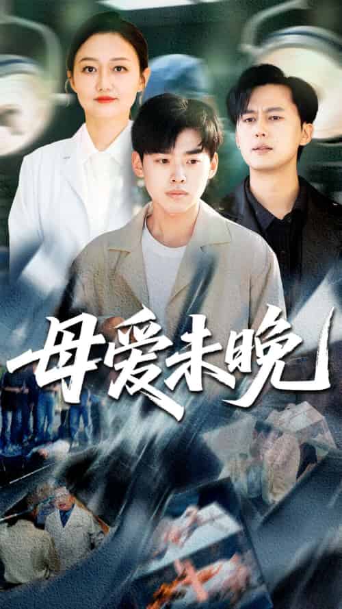 母爱未晚（69集）解琳＆刘奕辰-搜外项目网