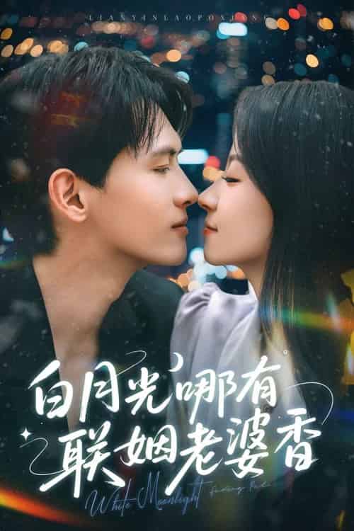白月光哪有联姻老婆香（79集）千喆＆王艺阳-搜外项目网