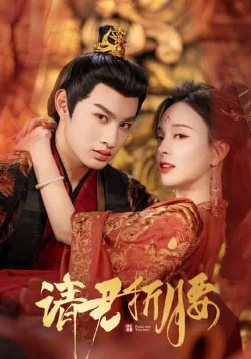 请君折腰（51集）耿池苏＆张玉忱-搜外项目网