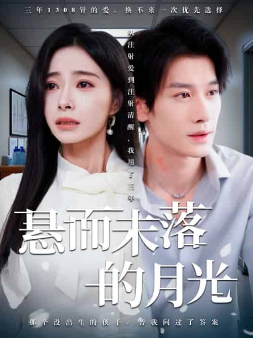 悬而未落的月光&未抵达的回声(40集)韩琪&冯伊洋-搜外项目网