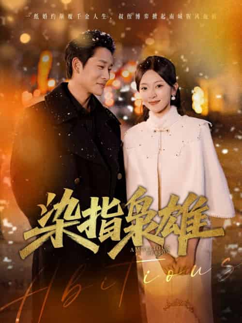 染指枭雄（82集）张旋＆程琳淼-搜外项目网