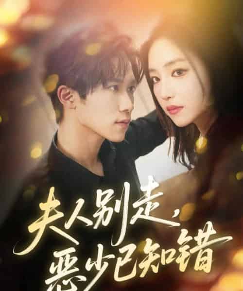 夫人别走恶少已知错（60集全）尹洋＆夏玄子-搜外项目网
