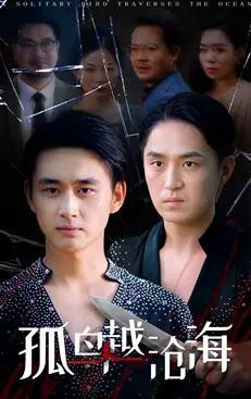 孤鸟越沧海 (60集全) 陈柄希&张梦薇-搜外项目网