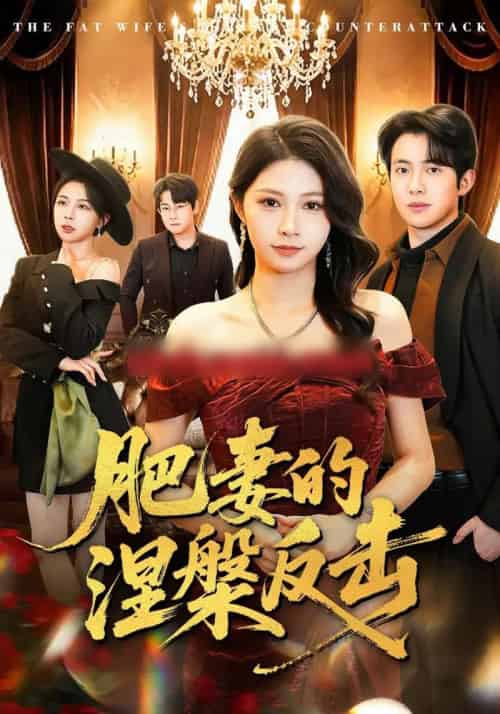肥妻的涅槃反击（66集全）郝逸伦＆许星月-搜外项目网