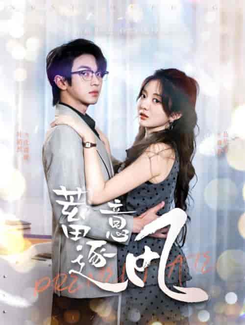 蓄意逐风(95集全)叶皓然&伍怡桥-搜外项目网