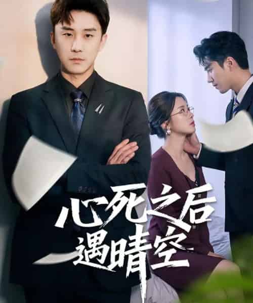 心死之后遇晴空（30集全）何为＆陆宇-搜外项目网