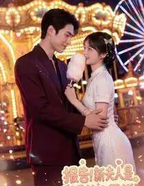 报告！新夫人是香软小蛋糕（90集全）AI-搜外项目网