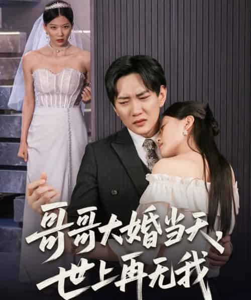 哥哥大婚当天世上再无我（54集）候冠杰＆陈墁柯-搜外项目网