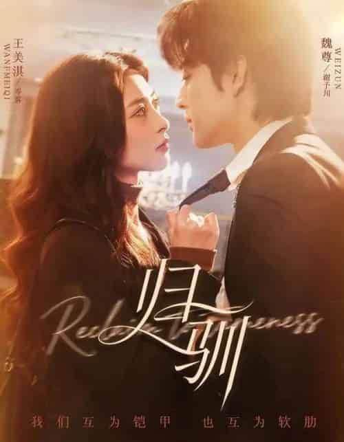 归驯(82集全)魏尊&王美淇-搜外项目网