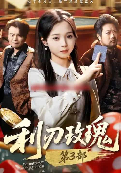 利刃玫瑰第3部(62集全)闫书毅&陈舒宜-搜外项目网