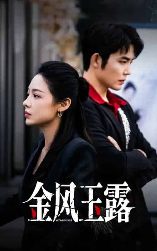 金风玉露(80集全)王晨鹏&盛以婕-搜外项目网