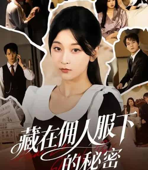 藏在佣人服下的秘密（68集全）李珈童＆汤淇钧-搜外项目网