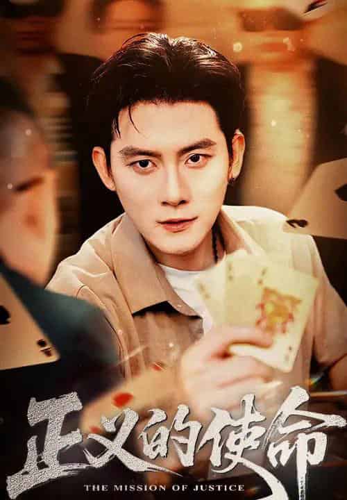 正义的使命（50集）张子寒＆孙梦涵-搜外项目网