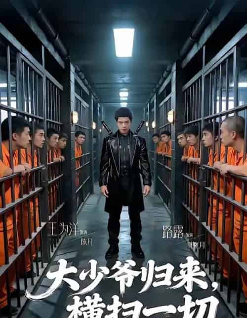 大少爷归来横扫一切(80集全)路露&王为洋-搜外项目网