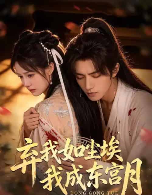 弃我如尘埃我成东宫月（20集全）-搜外项目网