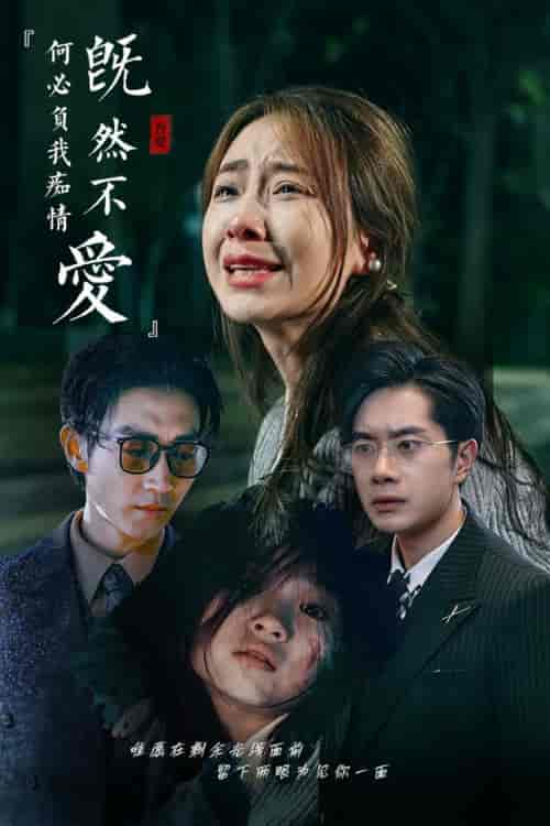 既然不爱何必负我痴情（53集全）-搜外项目网