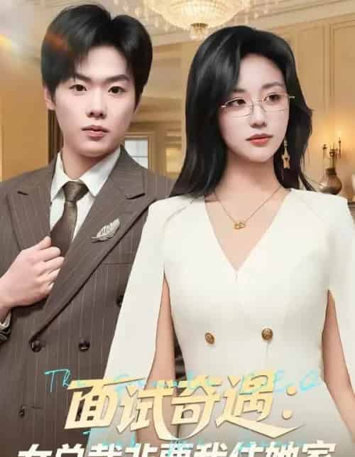面试奇遇：女总裁非要我住她家（80集全）刘艺潼＆李枫池-搜外项目网