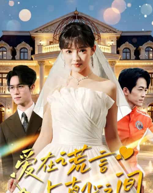 爱在谎言与真心之间(76集全)吴梦媛&南下-搜外项目网