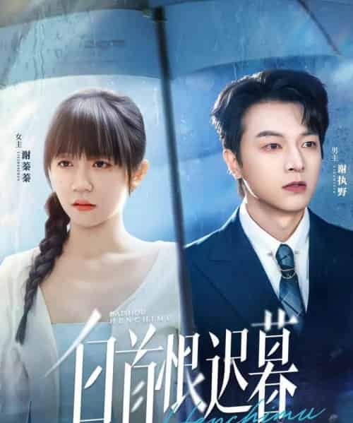 白首恨迟暮（78集全）王阡惠＆魏天浩-搜外项目网