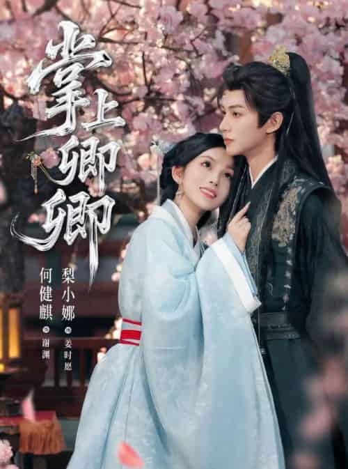 掌上卿卿(66集全)何健麒&梨小娜-搜外项目网