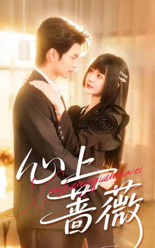 心上蔷薇（100集全）张嘉松＆刘安歌-搜外项目网